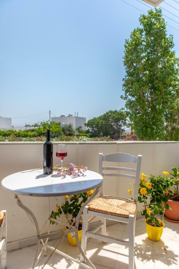 Naxos City Apanemi Beachhouse מראה חיצוני תמונה