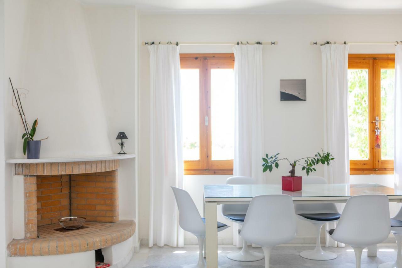 Naxos City Apanemi Beachhouse מראה חיצוני תמונה
